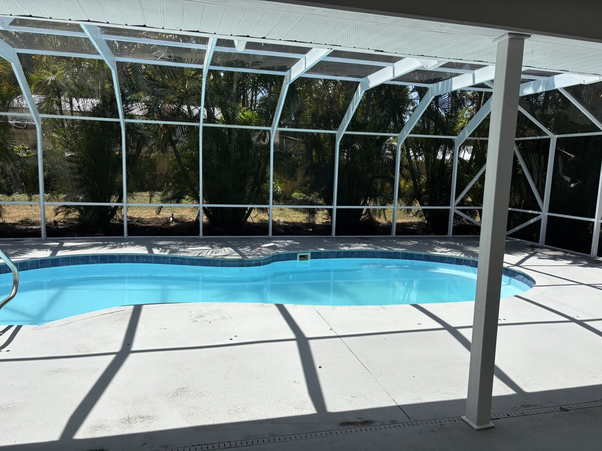Pool and patio