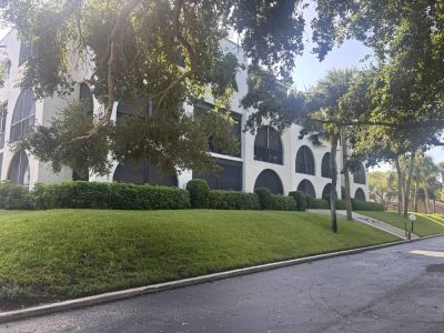 Img 7569