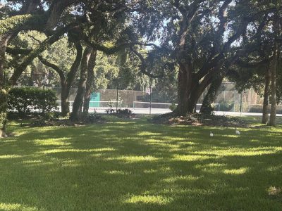 Img 7571